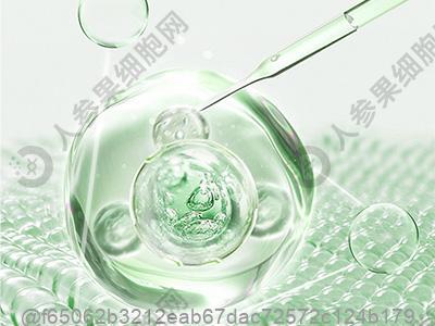 肺气肿饮食食疗吃什么