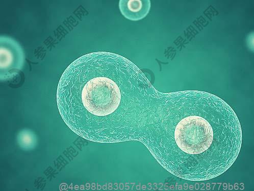 甲状腺彩超5类严重吗能治好吗