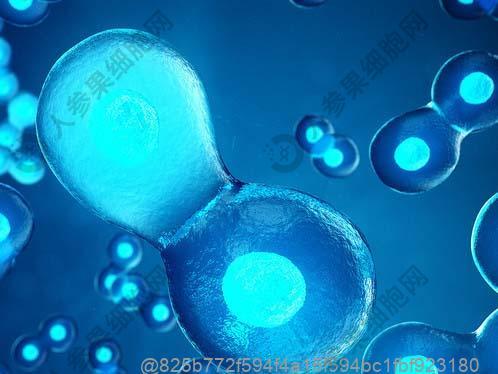 肿瘤标志物检查没有意义