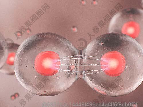 脑萎缩会导致全身瘫痪吗