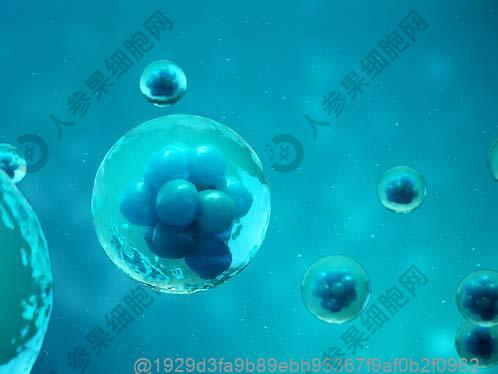 甲状腺彩超0.4x0.3的暗区