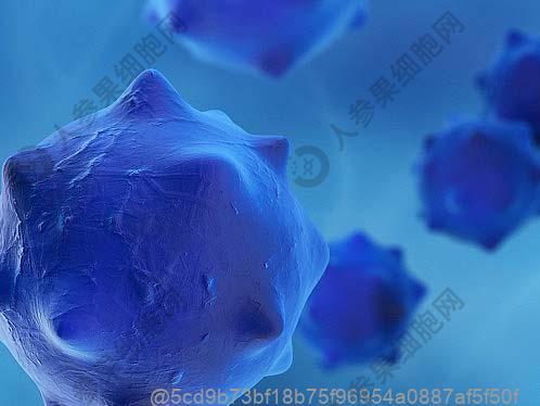 ct照甲状腺后医生建议再照彩超