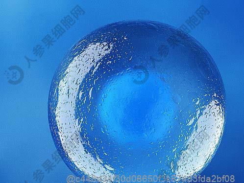 打干细胞前能吃面包吗？术前碳水的选择建议