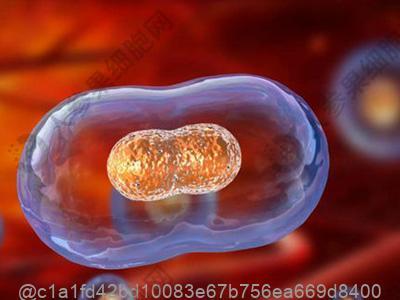 打干细胞敢吃柠檬片泡水吗？食用方式建议​