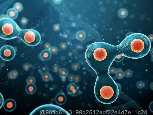打干细胞22天可以吃什么水果提升免疫效果好？高效提升免疫​