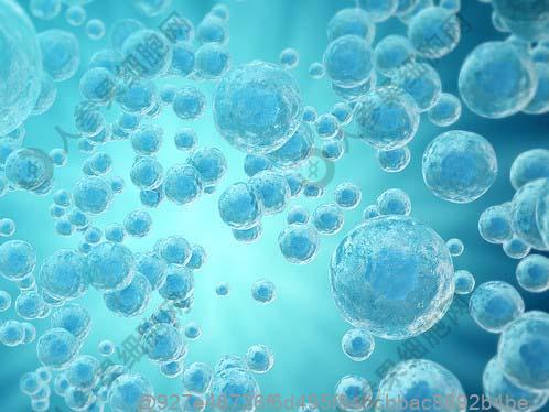 打干细胞17天可以吃什么水果补维生素全面？全面补维​