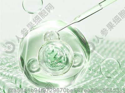 刚完成干细胞治疗能否享用猕猴桃？