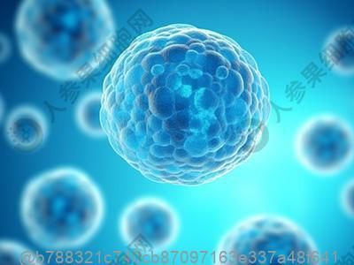 乳腺癌检查用核磁共振还是双源ct