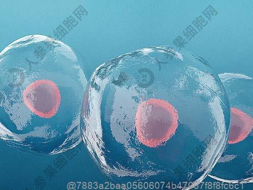 打干细胞敢吃龙眼吗？热性水果食用建议​