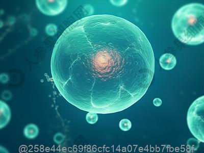 打干细胞28天后可以吃什么易过敏水果？易过敏水果时间​
