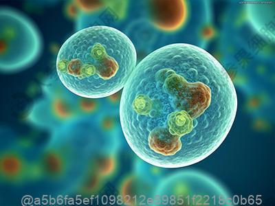 胰腺癌检查增强CT好还是核磁共振好