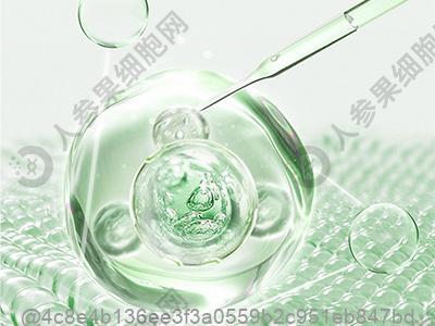 做完干细胞可以吃红豆沙冰吗？生冷顾虑