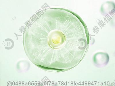 甲状腺彩超没问题还用查甲功吗