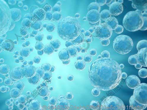长沙哪个机构可以注射干细胞？2025价格表及治疗流程完整指南