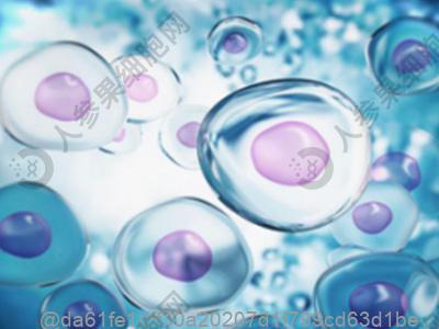 打干细胞6天可以吃什么水果补维生素B效果好？高效补维B​