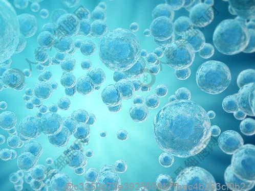 北京干细胞治疗哪家医院好？2025静脉注射费用及回输后多久有效果