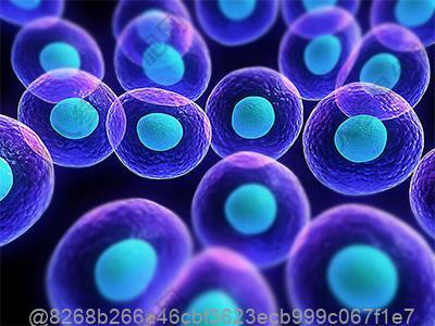 做完干细胞吃什么水果能补充Omega-3？含Omega-3水果​