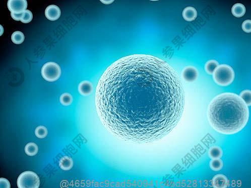 合肥干细胞注射价格表2025？哪里可以注射干细胞及治疗效果如何