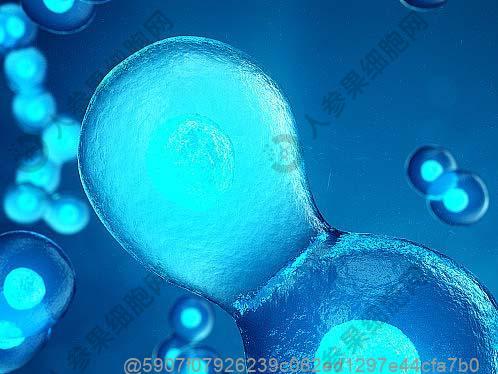 天津哪个地方能注射干细胞治疗？正规医院及一针费用2025