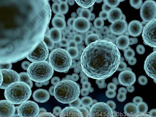 浙江打干细胞的医院在哪里？2025干细胞注射一次多少钱及排名前十