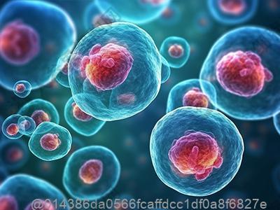 刚打干细胞吃什么水果好？温和不刺激的选择​