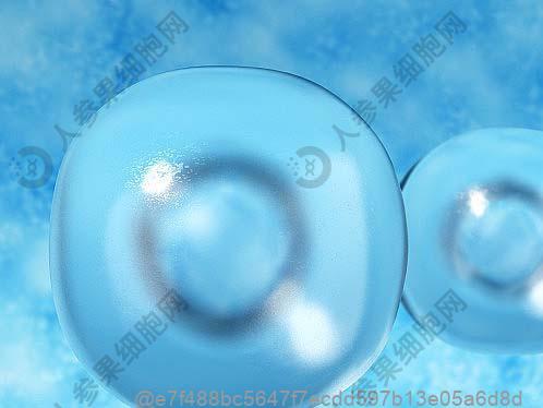 打干细胞9天可以吃什么水果补微量元素？补微量元素​