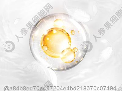 打干细胞前可以吃热狗吗？