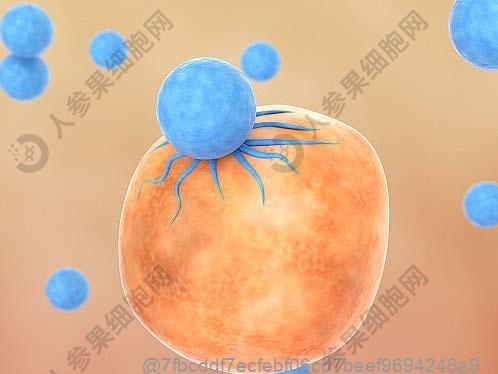 入院肺部ct能检查出新肺炎症状么