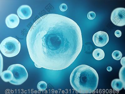 打干细胞几天可以吃什么东西？葵花籽的食用量