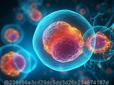 打干细胞11天可以吃什么水果补维生素A效果好？高效补维A​