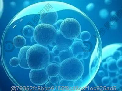 打干细胞13天可以吃什么水果补能量快不腻？不腻快速补能​