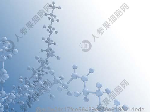 打了干细胞多久可以吃毛蛋？