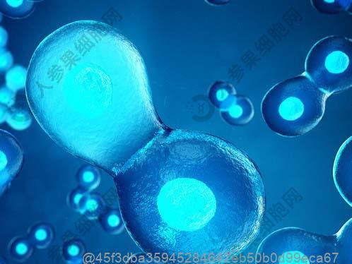 干细胞疗法多少钱一次？河南打一次干细胞费用多少，干细胞输入一次多少钱