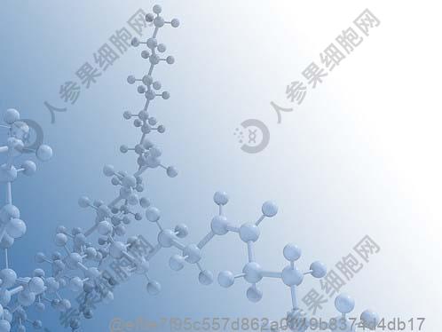 支气管炎能吃羊肉吗