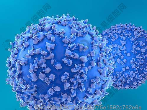 医院治疗甲状腺功能异常费用多少