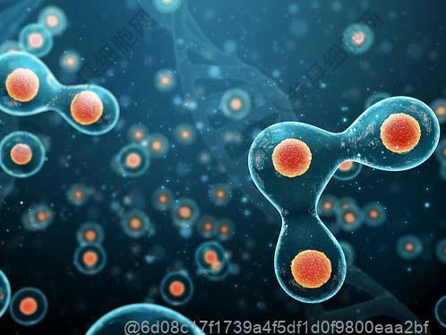 打干细胞不能吃什么？术后1个月内绝对忌口的12类食物​