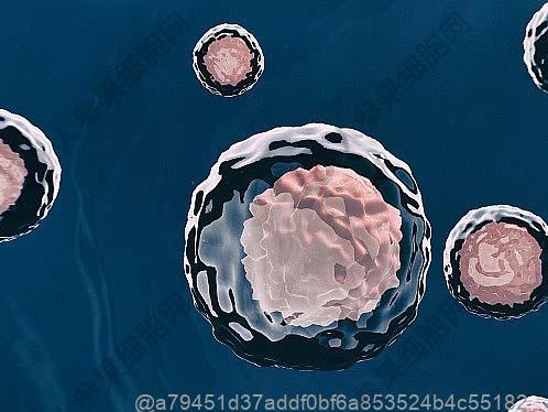 有哪些其他的水果适合干细胞治疗后吃？适合冬季食用的应季水果​