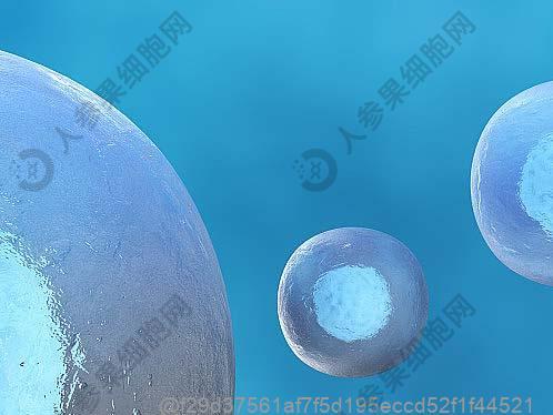 间质性肺炎早餐吃什么好