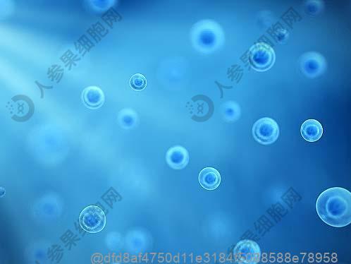 丙肝早期的10个征兆