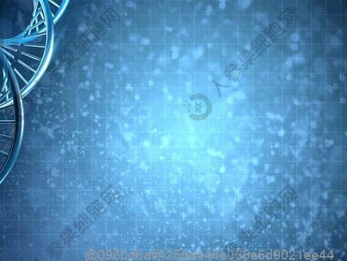 记忆障碍吃什么水果比较好