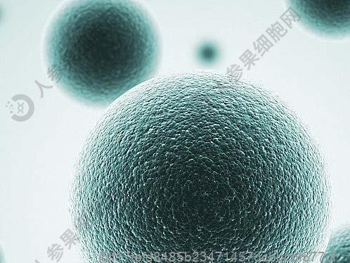 山西干细胞疗法的费用多少钱？静脉注射干细胞多少钱一针合理？