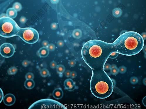 肝功能异常能吃什么主食