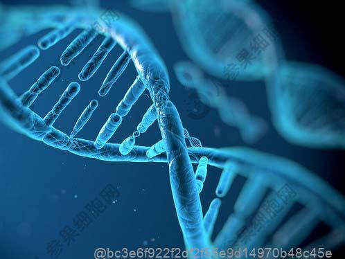 肌肉萎缩什么症状