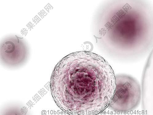 血清阴性脊柱关节病的诊断标准