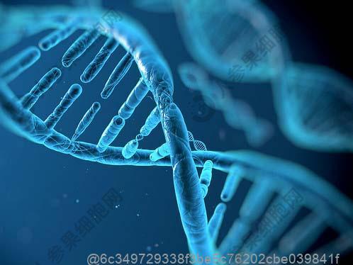 药物性肝损伤早期什么症状