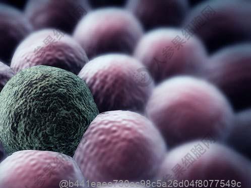 为什么会得肝功能异常