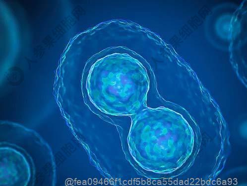 干细胞治疗后能吃陕西石榴吗？其他可作为饮食选择的水果​