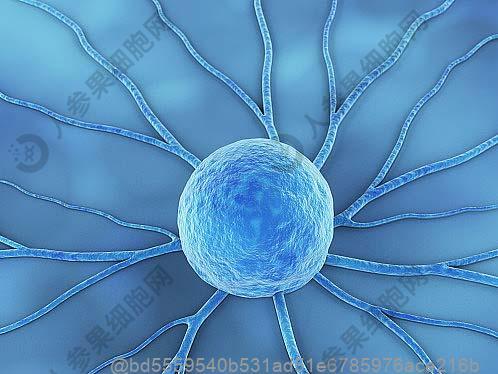 糖尿病能喝什么汤？少油少盐的蔬菜汤、菌菇汤制作技巧​