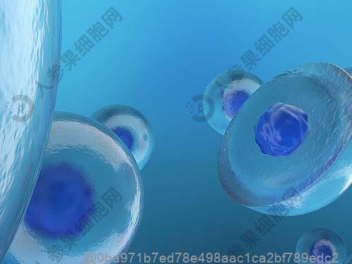 干细胞回输后生活饮食注意事项，根据术后恢复进度调整的饮食计划​