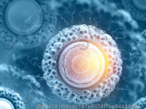 干细胞治疗后生活饮食注意事项，术后1-3个月的饮食变化​